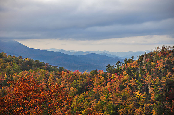 FALL2013 (220 of 369)