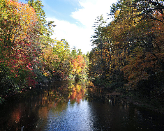 FALL2013 (113 of 369)