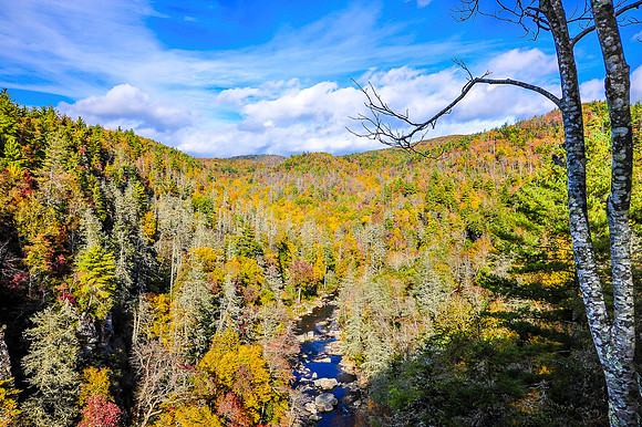 FALL2013 (145 of 369)