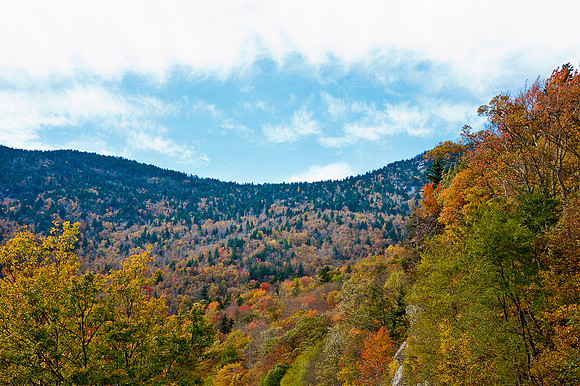 OCT_6546