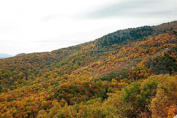 OCT_6539